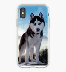 Vinilo o funda para iPhone Husky