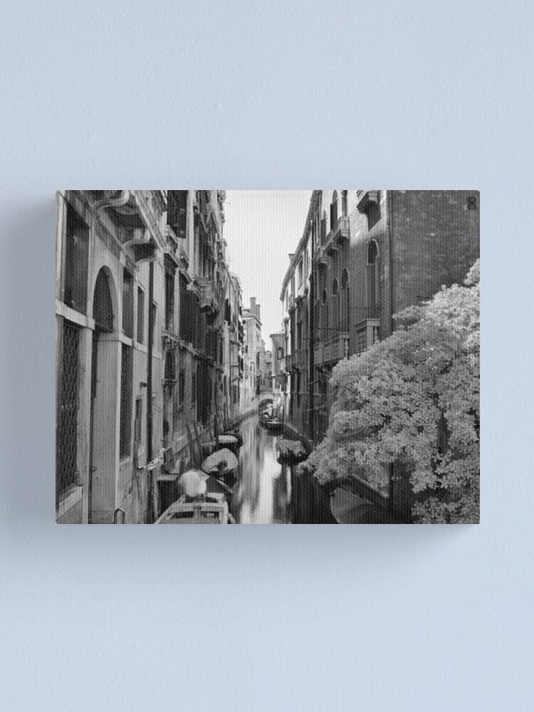 Alternate view of Down The Lane Canvas Print