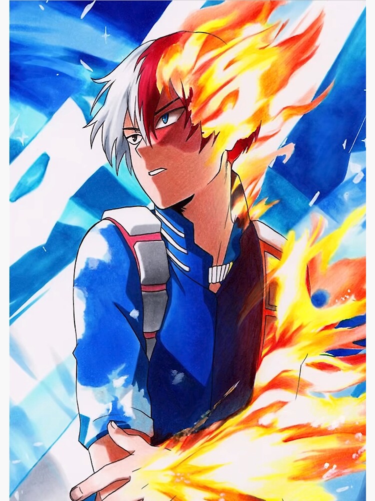 todoroki shoto age