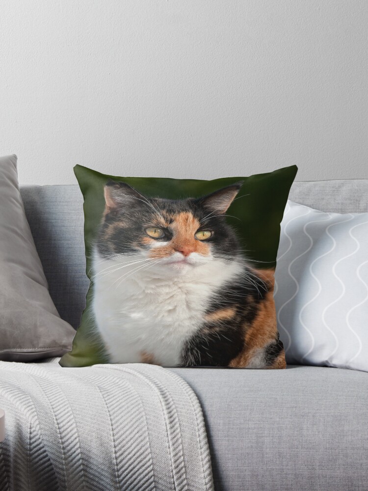 calico cat body pillow