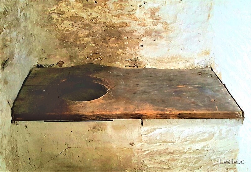 "Medieval Toilet" by Lesliebc Redbubble