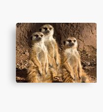 Family Portrait Canvas Print