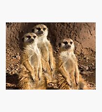 Family Portrait Photographic Print