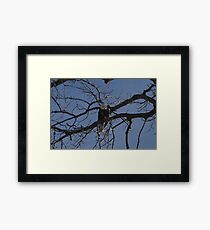 Fresh Kill Framed Print