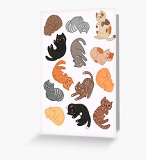 Katzen und Katzen und Katzen Grußkarte