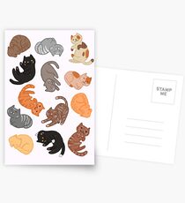 Cats and Cats and Cats Postcards