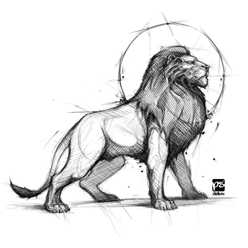 lion sketch