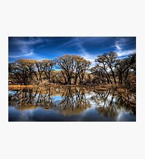 Willow Creek Cove Photographic Print