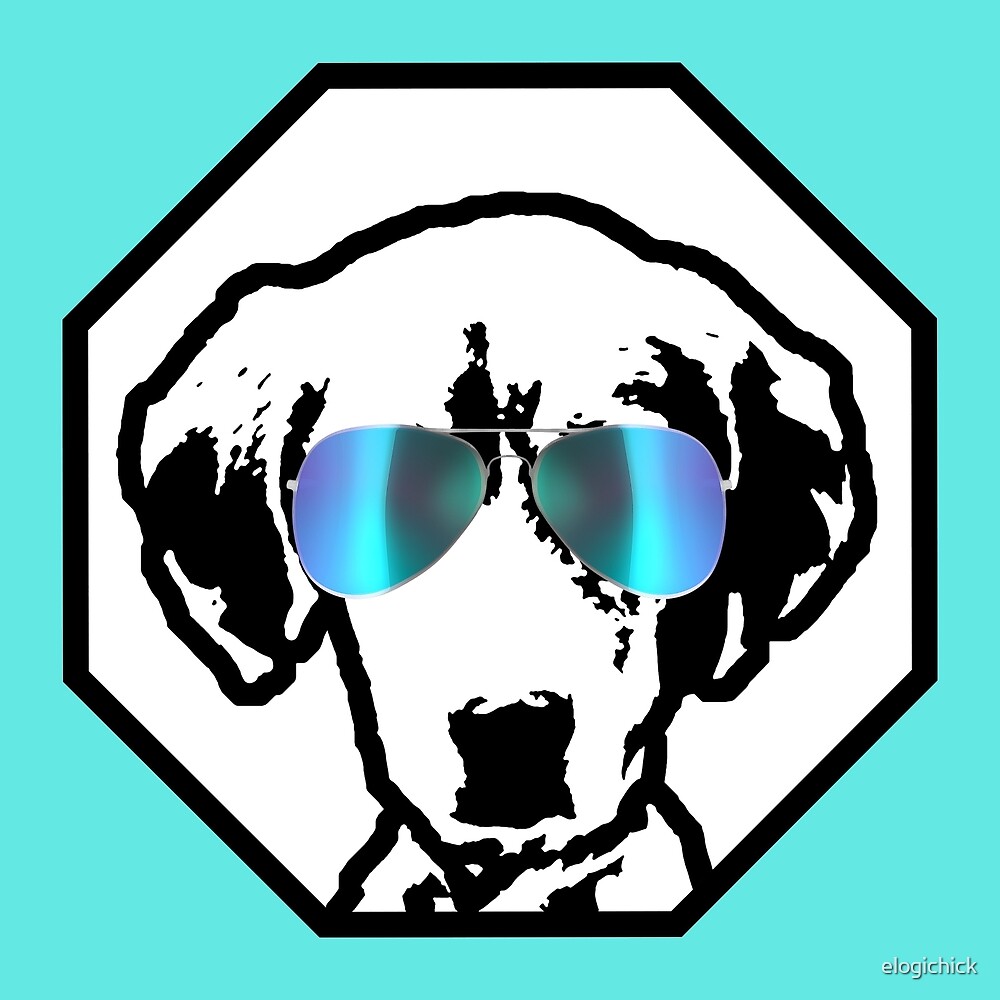Beagle Flieger Sonnenbrille Cool Dog Breed Von Elogichick Redbubble