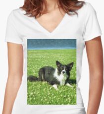Bob in the Daisies Women's Fitted V-Neck T-Shirt