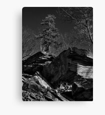 Staggered Canvas Print