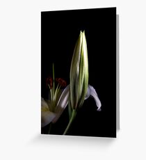 Budding Greeting Card