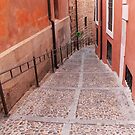 #cobblestone, #alley, #flooring, #tile, #brick, #architecture, #travel, #house by znamenski