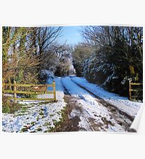 Snow scene Poster