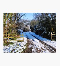 Snow scene Photographic Print