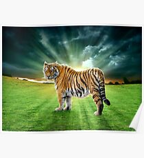 Let's Walk Towards The Sun, Said The Tiger Poster