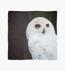 Snowy Owl Scarf