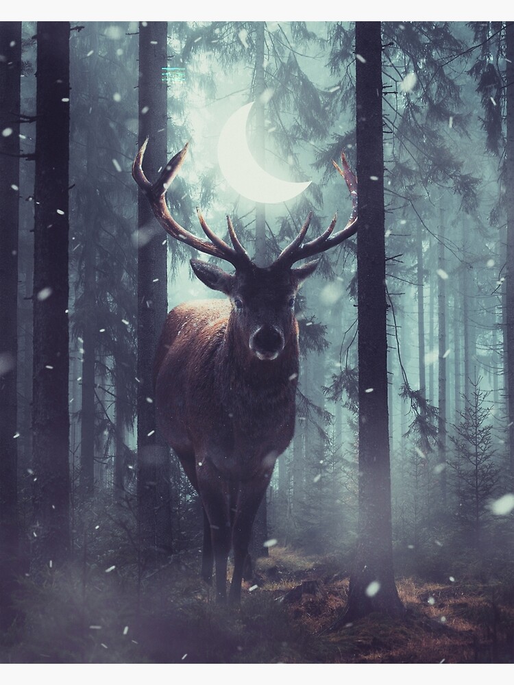 Forest Dweller by sublimenation