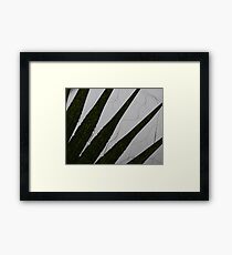 Digits Framed Print