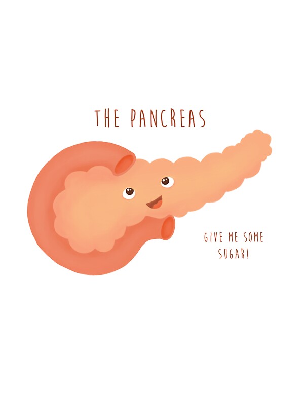 Cartoon Pancreas Clipart