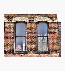 Jacko and Casper Photographic Print