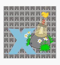 e for excalibur Photographic Print