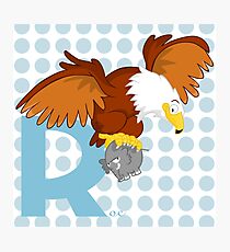 r for roc Photographic Print