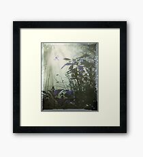 At the bottom of the garden. Framed Print