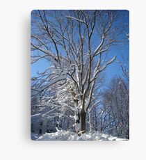 Towering Canvas Print