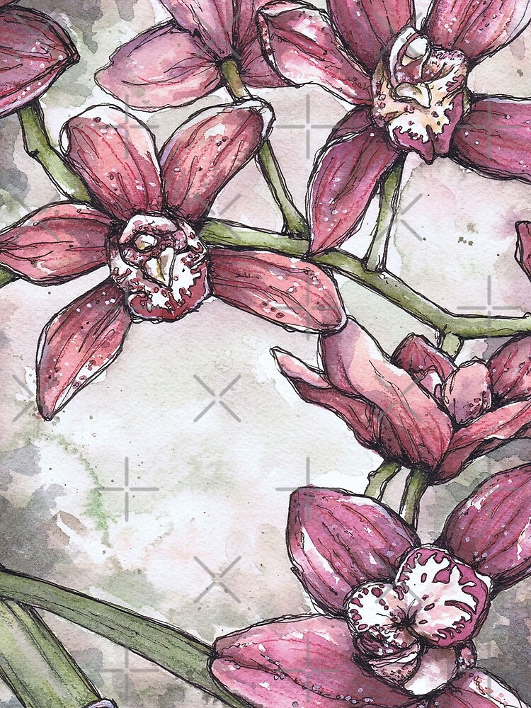 Orchideen - Aquarell und Tintengrafik von joanandrose1