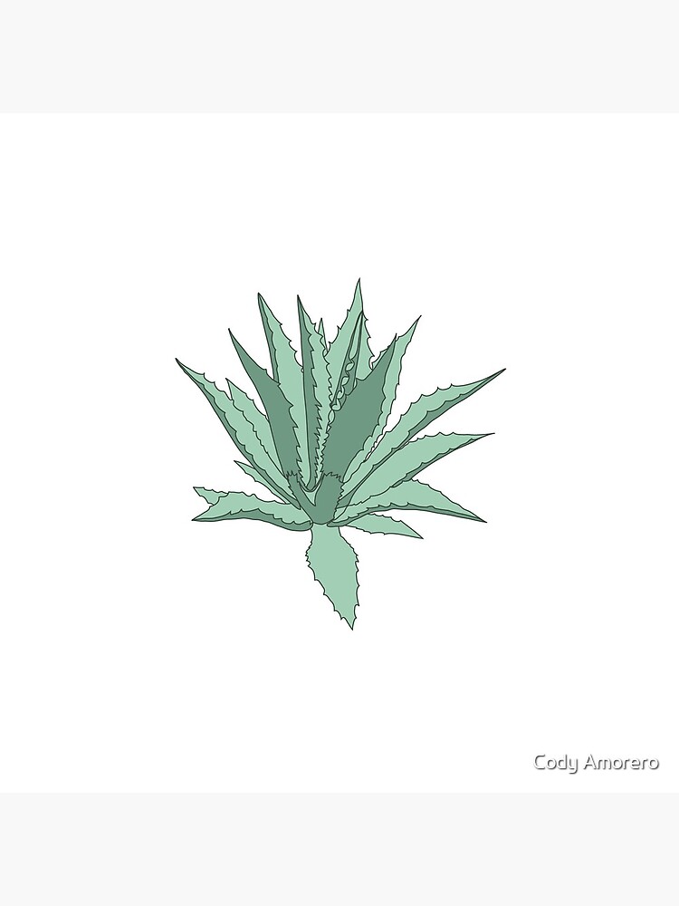 Agave by codyjoseph