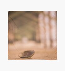 Shells scapes Scarf