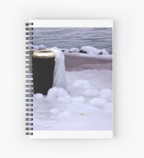 Frozen Bin Spiral Notebook