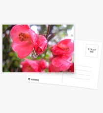 *ONE DROP* Postcards