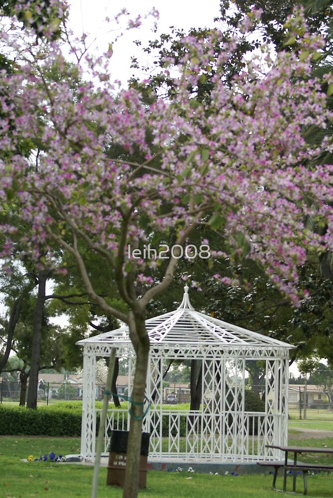 "Neff Park, La Mirada, CA USA In the spring. All Rights Reserved; Lei