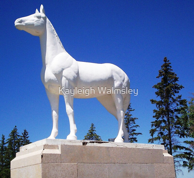 "White Horse Statue" by Kayleigh Walmsley Redbubble