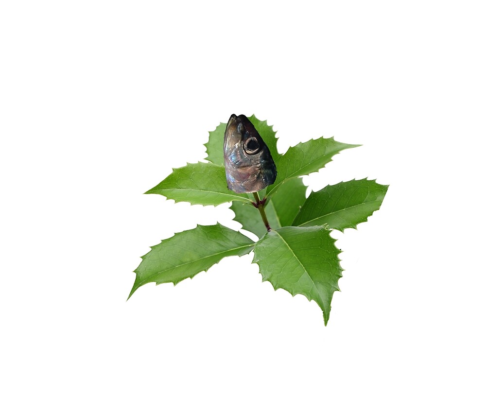 Hiiragi Iwashi 柊鰯 By Dragon J Redbubble