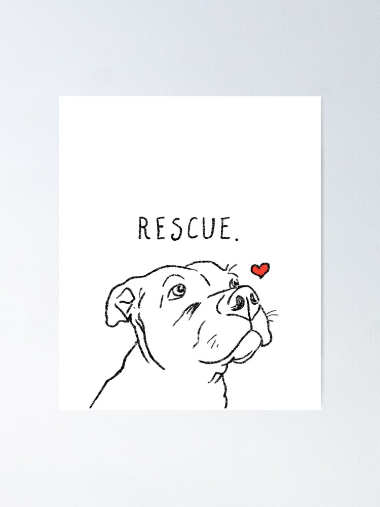 Rescue Pitbull Pit Bull Lovers Pittie Pibble Cute Pitbull