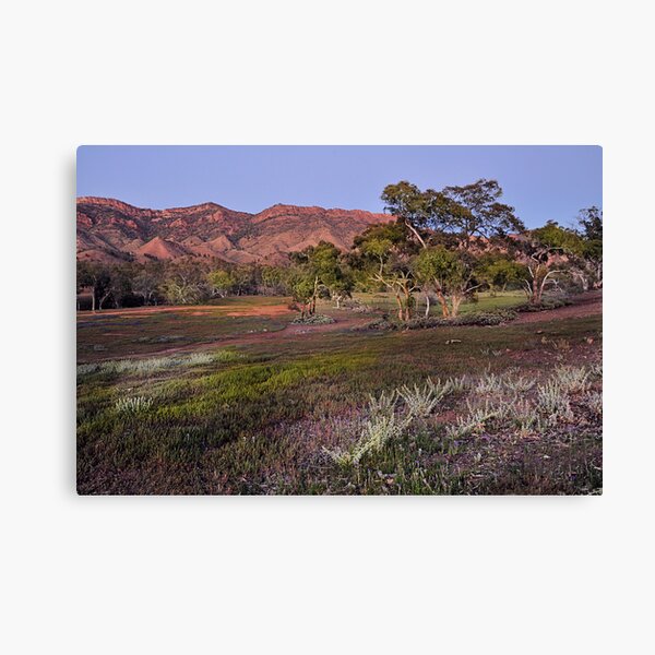 Dawn at the Heysen Range Canvas Print