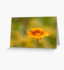 Shangri La Greeting Card