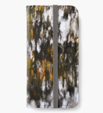 Silvery Pattern Reflection iPhone Wallet/Case/Skin