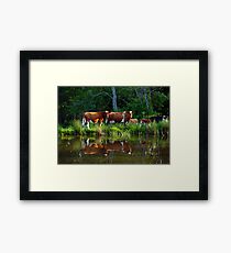 The Herd Framed Print