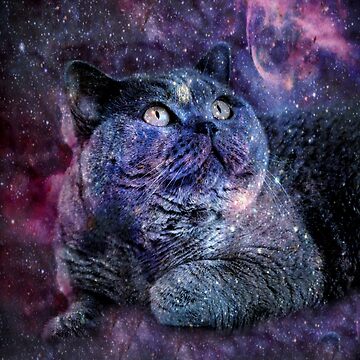 Artwork thumbnail, Kittylicious Space Cat  by Kittylicious