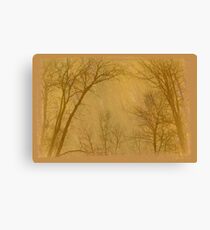 Landscapes! Canvas Print
