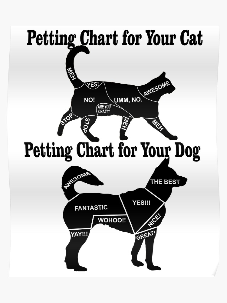 Cat Petting Chart