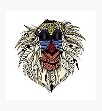 Ornate Color Rafiki Photographic Print