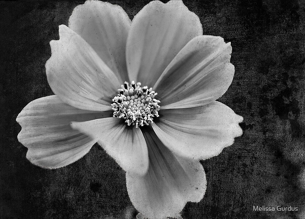 “Monochromatic Textured Flower” by Melissa Gurdus | Redbubble
