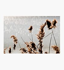 By the Waterside Photographic Print