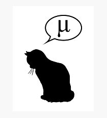 Lámina fotográfica Física gato y coeficiente de fricción