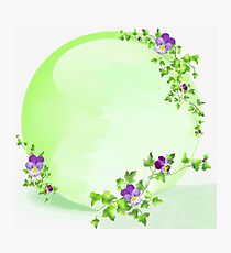 Ivy and Violas Photographic Print